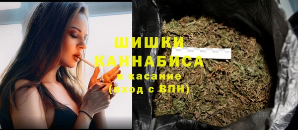 дмт Медногорск