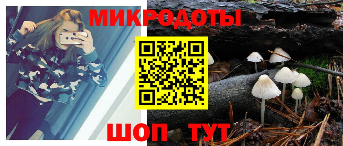 Галлюциногенные грибы Psilocybine cubensis  Вход с VPN  Дербент 