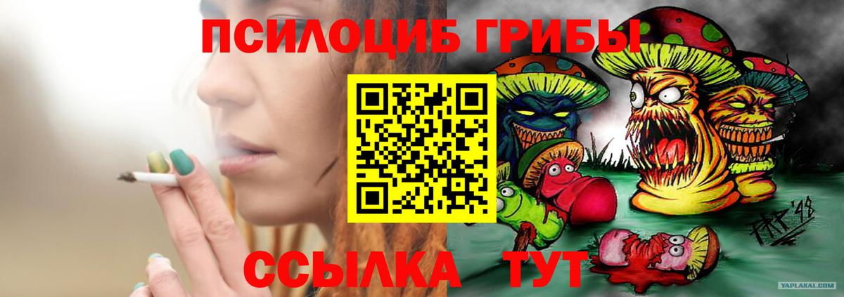Псилоцибиновые грибы мицелий Дербент